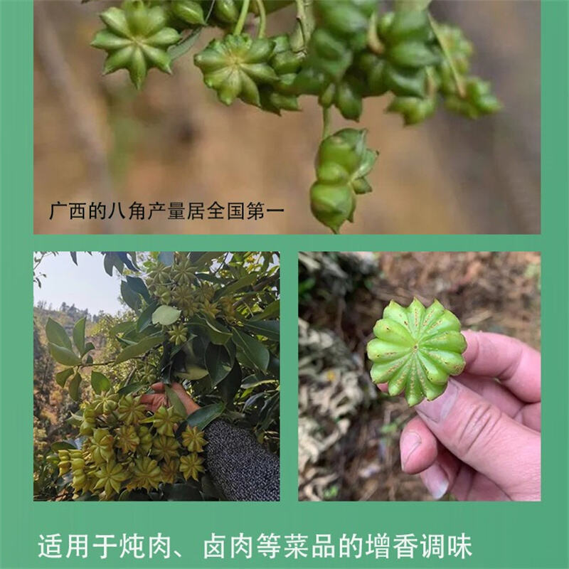 商品图片4