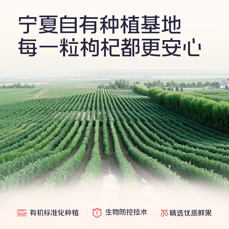 商品图片9