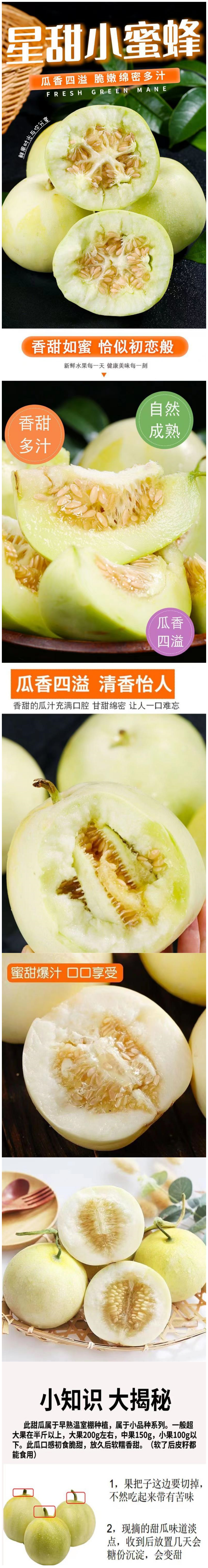 积分商城详情图片山东沂蒙头茬小蜜罐甜瓜4.5斤/8.5斤,单果200g+彩箱装多规格可选【顺丰/京东快递】