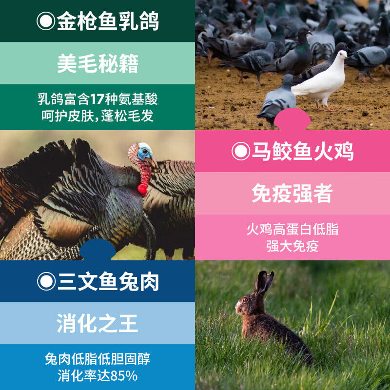 商品图片5